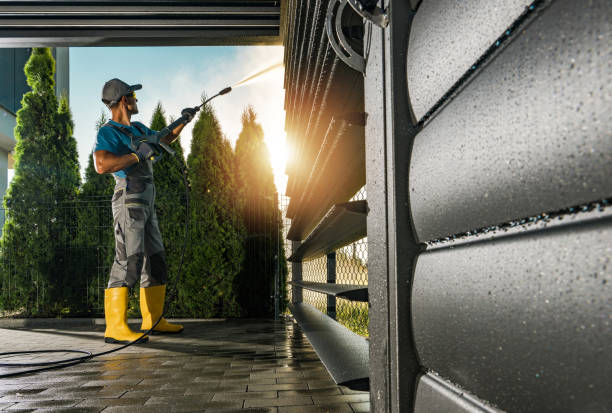 Best Gutter Cleaning  in Cold Spring, MN